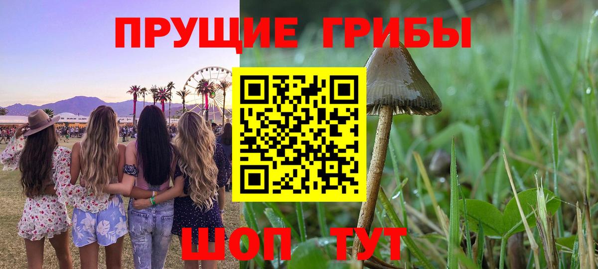 Псилоцибиновые грибы мухоморы  Вход с VPN  Гудермес  Псилоцибиновые грибы Magic Shrooms 