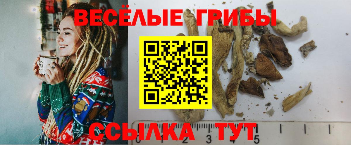 Галлюциногенные грибы ЛСД Гудермес